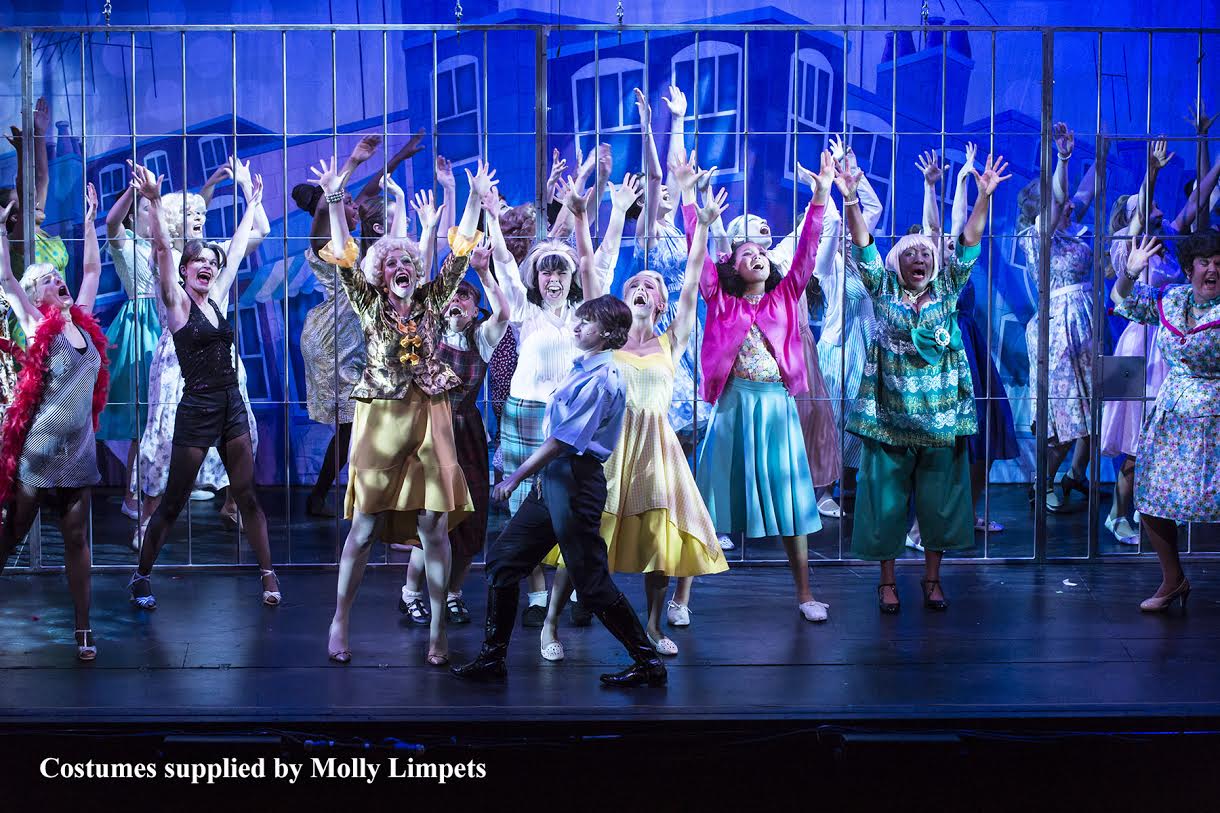 Hairspray 2024 dance costumes